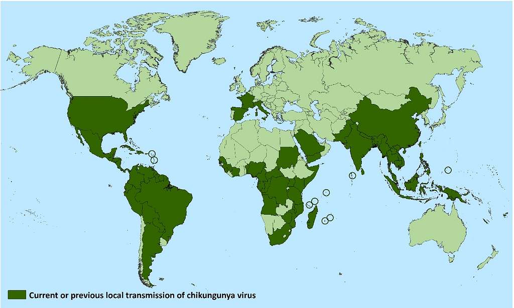 virus chikungunya